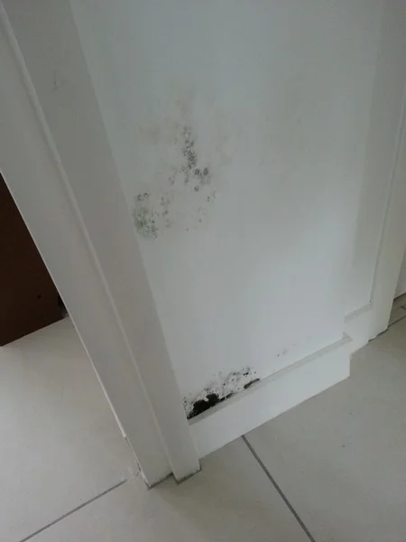 Humidité maison Remontée d'humidité dans mur de maison